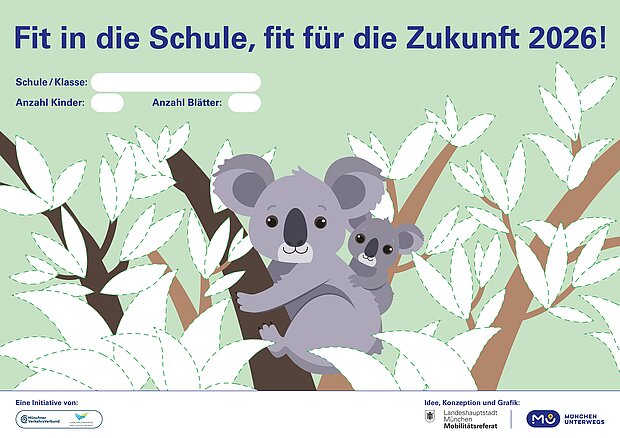 Plakat Koalas